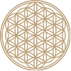 das Icon zeigt das Ying und Yang Symbol